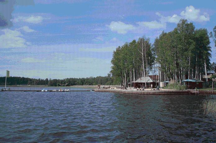 Atputas Komplekss Lilaste Luaran gambar
